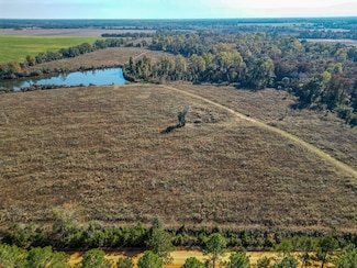 William Avera Rd, Morgan, GA 39866