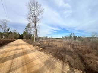 - Strickland Rd, Waynesboro, MS 39367