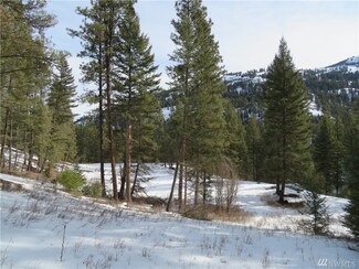 0 Toroda Creek Rd, Wauconda, WA 98859