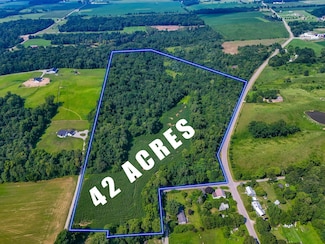 8676 Sidney St, Johnson Township, OH 43072