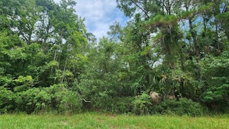 216 Palm Way, Georgetown Cove, FL 32139