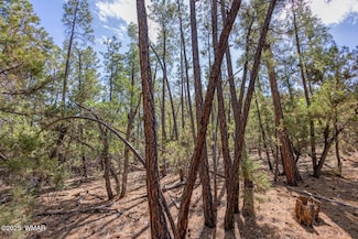 2038 Pine Wood Ln, Pinetop, AZ 85935
