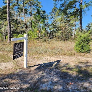 551 Glitter Bay Ct, Shallotte, NC 28470