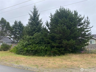 508 Point Brown Ave NE, Ocean Shores, WA 98569