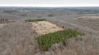 000 U-105a, Ava, MO 65608