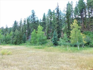 TBD Clark Mountain Ln, Antonito, CO 81120