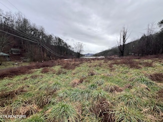 117 Tanyard Loop, Calvin, KY 40813