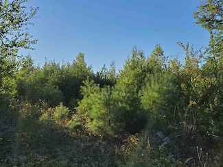 lot 6 Mallard Dr, Canaan, NH 03741