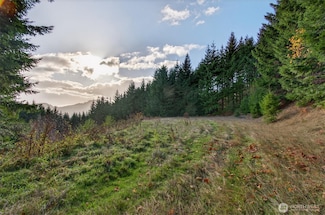 0 Knights Bridge Rd Unit NWM2455713, Ariel, WA 98603