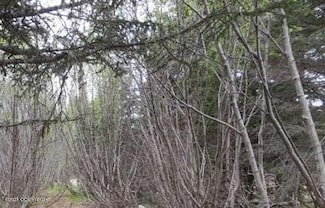 58088 Faccio Rd, Clam Gulch, AK 99568