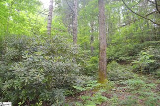 0 Pinnacle Lake Rd Unit 1302647, Marietta, SC 29661