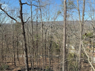 3563 Knollwood Hill Drive Lt 2, Chattanooga, TN 37415
