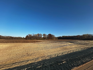 Lot 7 151st Ave SE, Santiago Township, MN 55308