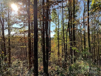 1483 Round Mountain Pkwy Unit 59, Lenoir, NC 28645