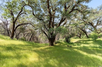 2440 Big Ridge Rd, Healdsburg, CA 95448