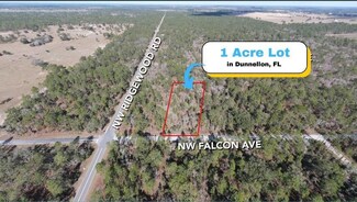 Lot 27 Falcon Ave, Dunnellon, FL 34431