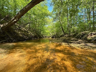 0 U S Highway 82 Unit 23251551, Centreville, AL 35042