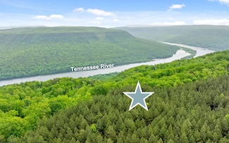 Lot 1251 Mullins Point, Guild, TN 37340