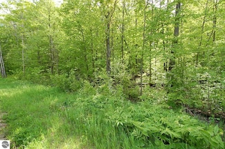 3882 S 5 1 2 Rd, Slagle Township, MI 49638
