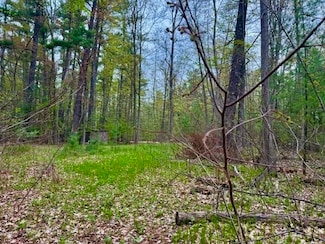 0 W Branch Dr Unit 50174511, Secord Township, MI 48624