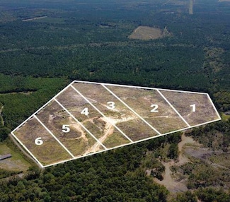 Lot 1 Highway 790, Ackerman, MS 39735