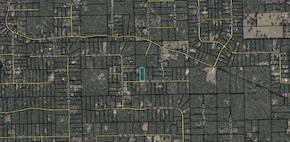 0 NE 400th Ave, Old Town, FL 32680