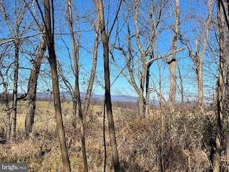 0 Chestnut Ridge Rd Unit VAAG2000440, Staunton, VA 24401
