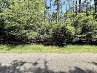 155 W Lake Dr, Houston, TX 77336