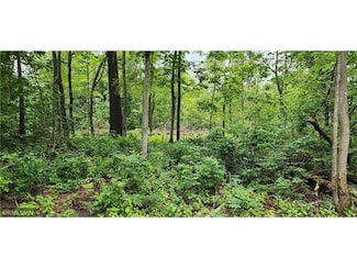 10xx Us Hwy 8, Amery, WI 54001