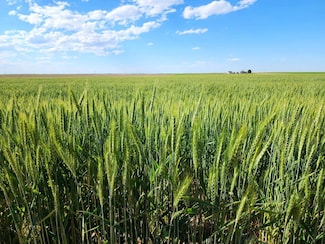 TBD Road 81, Potter, NE 69156