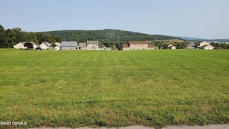 134 High Lot 54 St, Beavertown, PA 17813