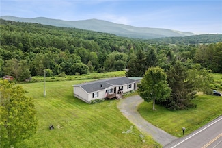 1002 Potter Mtn Rd, Gilboa, NY 12076