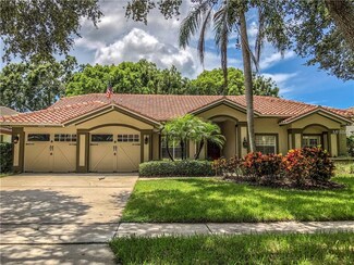 3458 Woodridge Pkwy, Palm Harbor, FL 34684