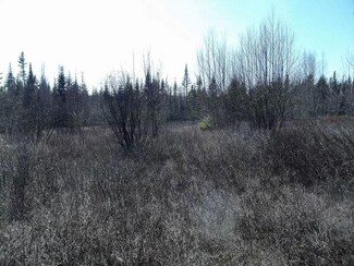 M5A L7 Sherman Hill Rd, Robbinston, ME 04671