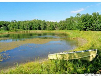 0 Foster Moore Rd Unit S350078, Homer, NY 13077