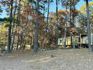 130 & 144 Cochise Ln, Mountain View, AR 72560