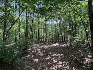 0 Lee Road 344 Unit 23975651, Salem, AL 36874