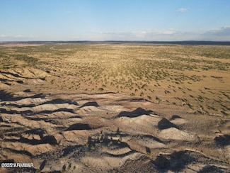 TBD N Lot 12 Carrizo Ranch N6204 Ave Unit 12, Saint Johns, AZ 85936