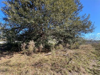 0 Pine Course Unit MFRG5068371, Ocala, FL 34472