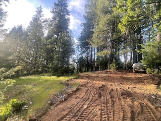 16605 Buckeye Rd, Nevada City, CA 95959