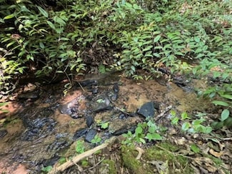 0 Gabriel Way, Pickens, SC 29671