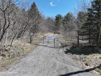 L24.2 Switzer Hill Rd, Fonda, NY 12068