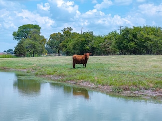 TBD Vz County Road 2120, Canton, TX 75103