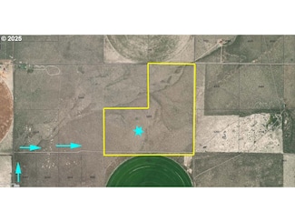 0 Lost Forest Ln Unit 5200 207934366, Christmas Valley, OR 97641