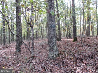 0 River Rd Unit 1009160210, Fisher, WV 26818