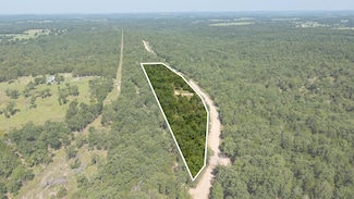 000 County Road 646, Theodosia, MO 65761