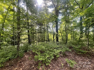 000 Laurel Thicket Ln, Brevard, NC 28712