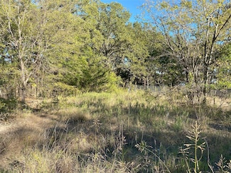 Lot 506 Amy Dr, Hawk Cove, TX 75474
