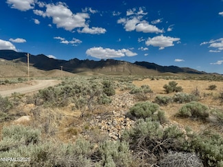 17180 Windsor Ln, Lovelock, NV 89419