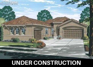 11364 Sage Mesa Way, Falcon, CO 80831